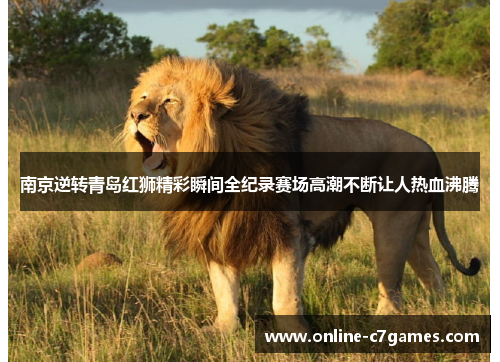 南京逆转青岛红狮精彩瞬间全纪录赛场高潮不断让人热血沸腾